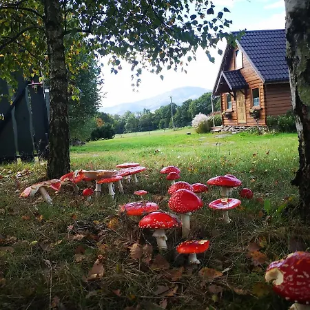 Domek Na Kamiencu Wilkowice Exterior photo