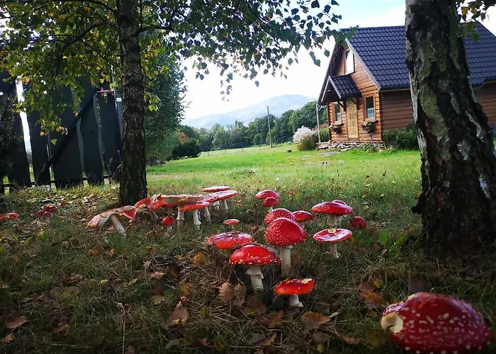 Domek Na Kamiencu