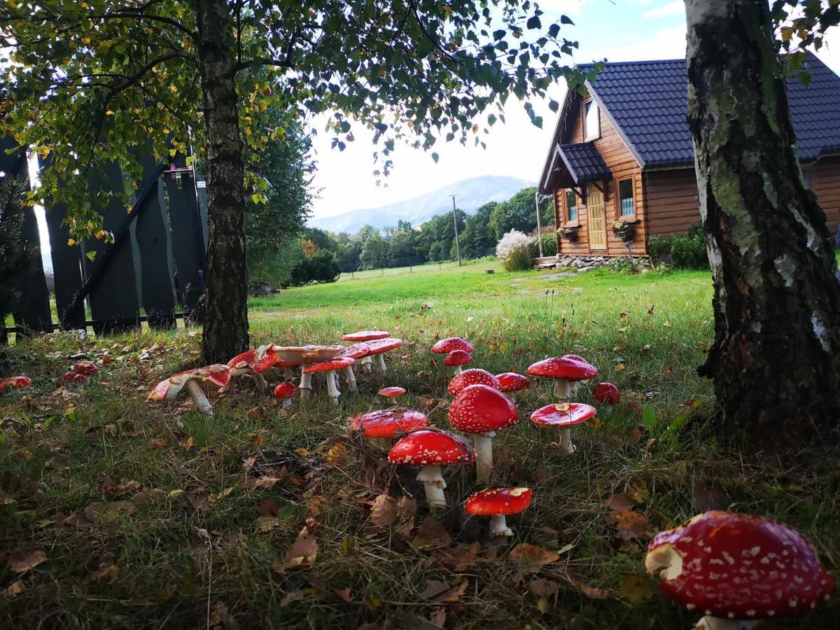 Na Kamiencu Wilkowice
